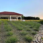 Siedlisko Panorama Na Koncu Swiata - Caloroczny *