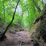 בית נופש Siedlisko Panorama Na Koncu Swiata - Caloroczny Podgorz (Opole Lubelskie)