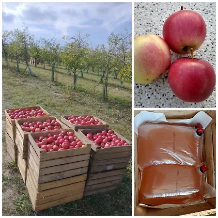 Siedlisko Panorama Na Koncu Swiata - Caloroczny *