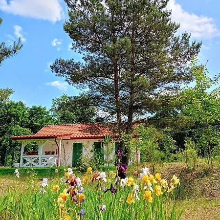 Siedlisko Panorama Na Koncu Swiata - Caloroczny Casa de Férias