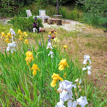 Holiday home Siedlisko Panorama Na Koncu Swiata - Caloroczny Podgorz (Opole Lubelskie)