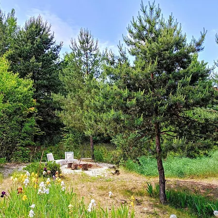 Siedlisko Panorama Na Koncu Swiata - Caloroczny *