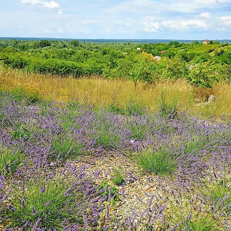 Siedlisko Panorama Na Koncu Swiata - Caloroczny Prázdninový dům Podgorz (Opole Lubelskie)