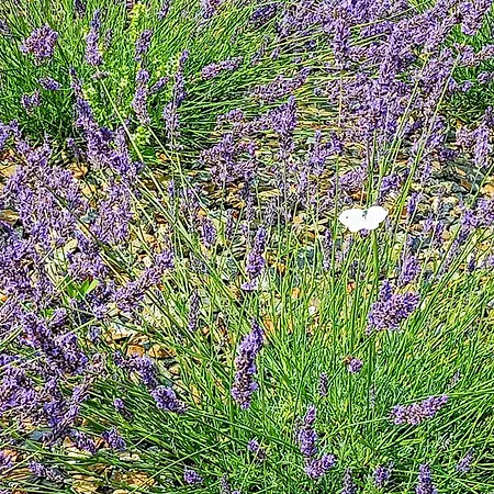 Siedlisko Panorama Na Koncu Swiata - Caloroczny *