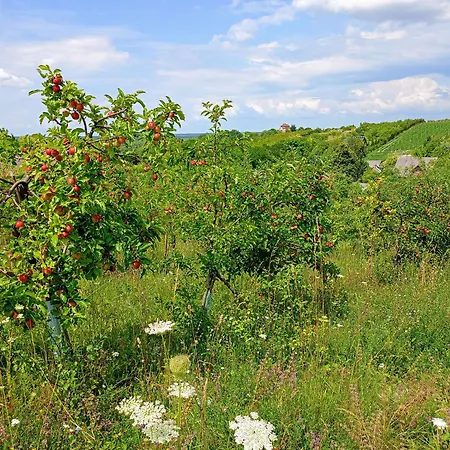 Ferienhaus Siedlisko Panorama Na Koncu Swiata - Caloroczny Podgorz (Opole Lubelskie)