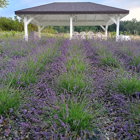 Siedlisko Panorama Na Koncu Swiata - Caloroczny *