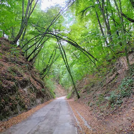 Siedlisko Panorama Na Koncu Swiata - Caloroczny *