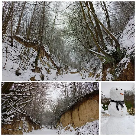 Casa de Férias Siedlisko Panorama Na Koncu Swiata - Caloroczny