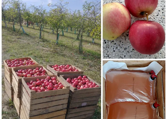 Siedlisko Panorama Na Koncu Swiata - Caloroczny *