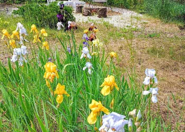 בית נופש Siedlisko Panorama Na Koncu Swiata - Caloroczny Podgorz (Opole Lubelskie)