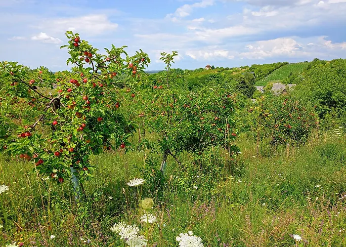 בית נופש Siedlisko Panorama Na Koncu Swiata - Caloroczny Podgorz (Opole Lubelskie)