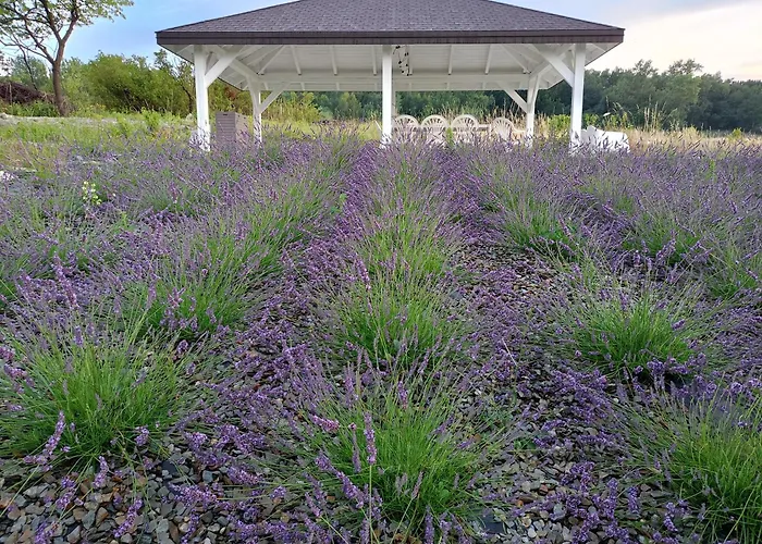 Siedlisko Panorama Na Koncu Swiata - Caloroczny *