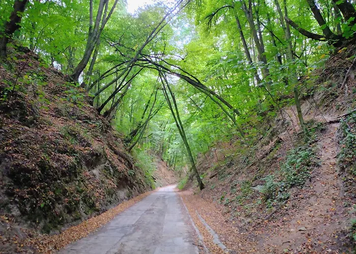 Siedlisko Panorama Na Koncu Swiata - Caloroczny *