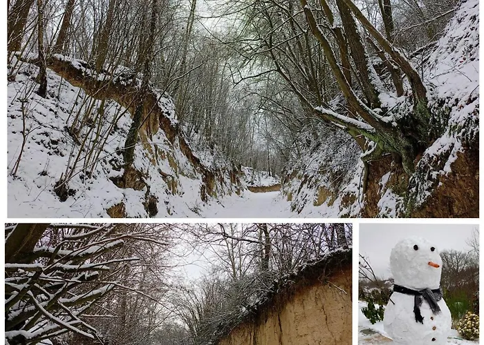 Ferienhaus Siedlisko Panorama Na Koncu Swiata - Caloroczny