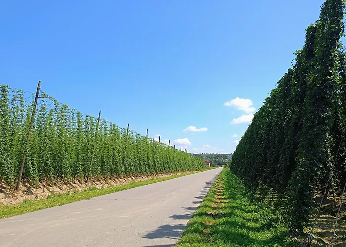 Siedlisko Panorama Na Koncu Swiata - Caloroczny Ferienhaus