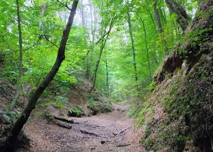 Ferienhaus Siedlisko Panorama Na Koncu Swiata - Caloroczny Podgorz (Opole Lubelskie)