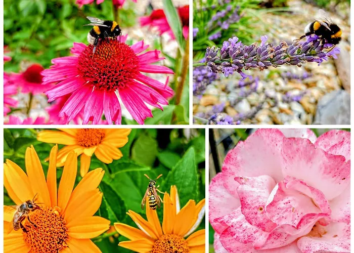 Ferienhaus Siedlisko Panorama Na Koncu Swiata - Caloroczny *